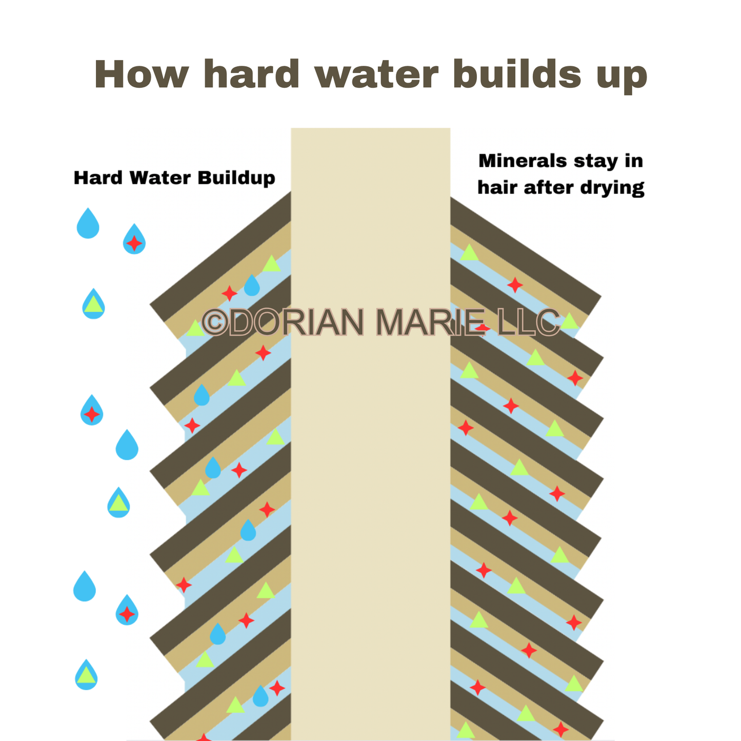 Hard Water Shower Filter by DayDream™